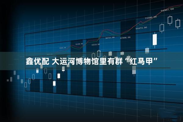 鑫优配 大运河博物馆里有群“红马甲”