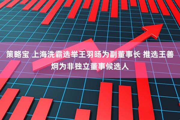 策略宝 上海洗霸选举王羽旸为副董事长 推选王善炯为非独立董事候选人