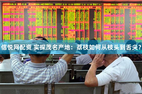 信悦网配资 实探茂名产地：荔枝如何从枝头到舌尖？
