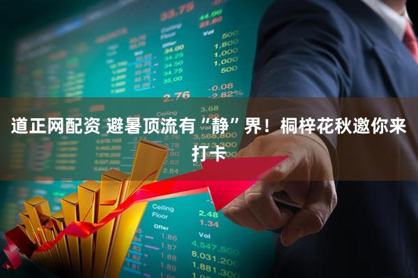 道正网配资 避暑顶流有“静”界！桐梓花秋邀你来打卡