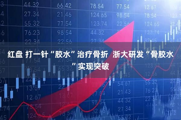 红盘 打一针“胶水”治疗骨折  浙大研发“骨胶水”实现突破