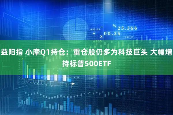 益阳指 小摩Q1持仓：重仓股仍多为科技巨头 大幅增持标普500ETF